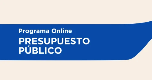 Programa Virtual | Presupuesto Público